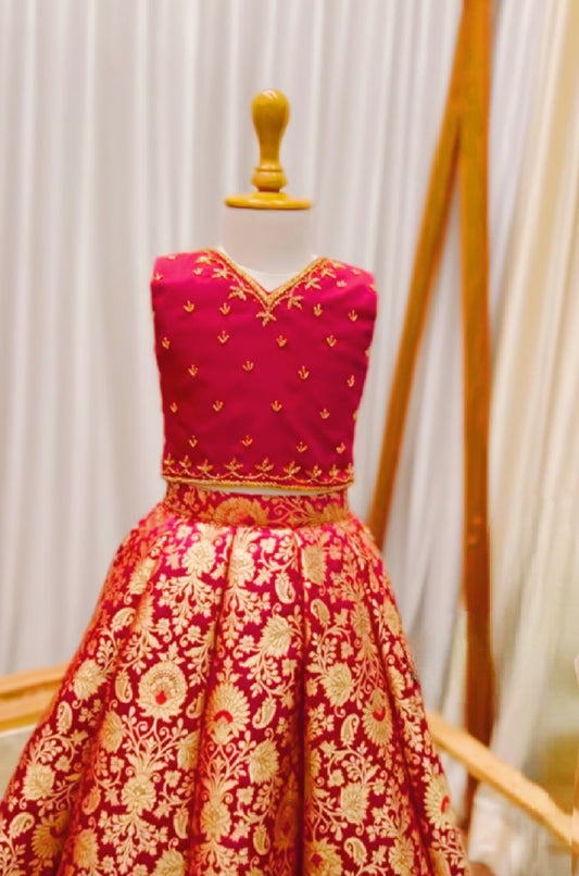 Hand Embroidered Choli With Banarsi Lehnga Dress