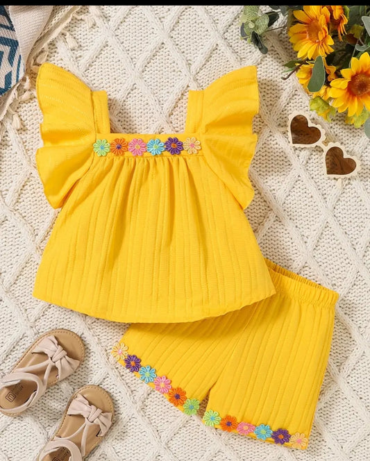 Hand Embroidered Top & Shorts
